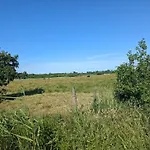 5 Star Holiday Home In Blavand