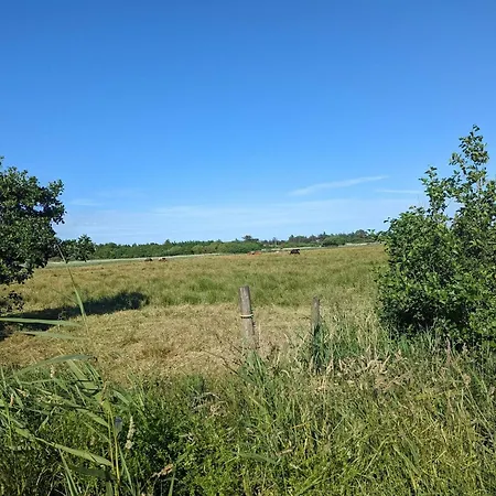 Luxury Retreat In - By Traum